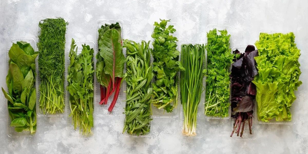 Самые полезные виды зелени и их свойства