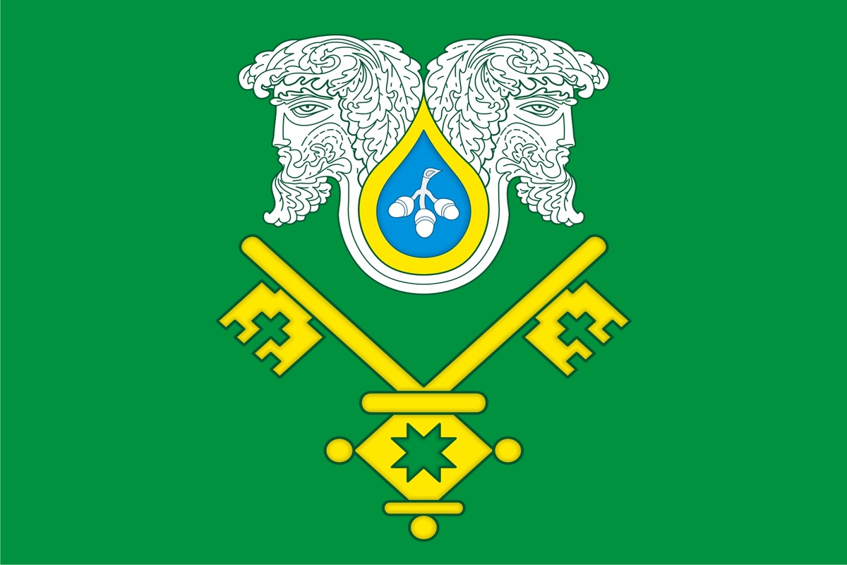 Муниципальное бюджетное общеобразовательное учреждение «Большешигаевская основная общеобразовательная школа» Мариинско-Посадского муниципального округа Чувашской Республики (флаг)