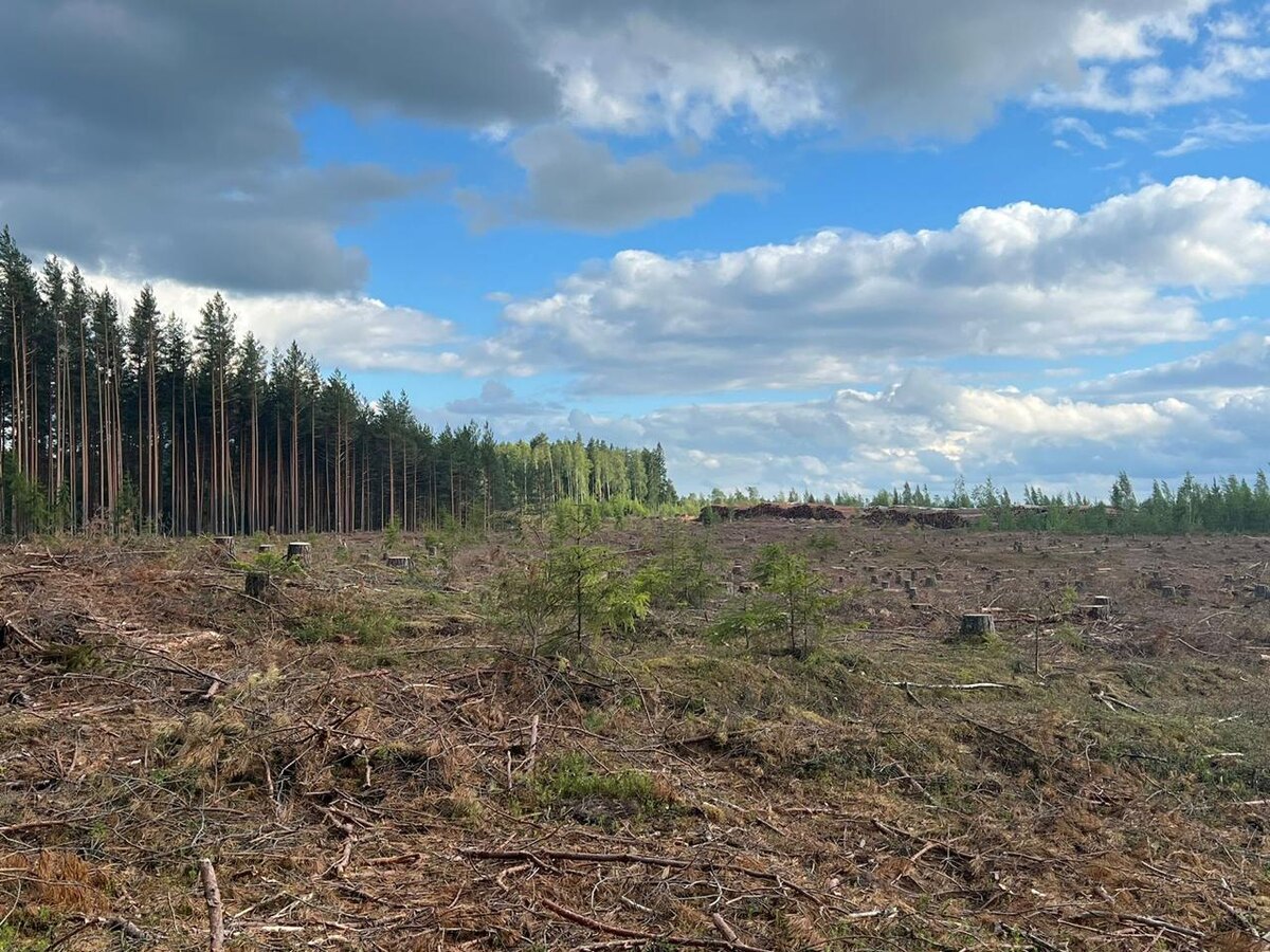 Фото из личного архива автора