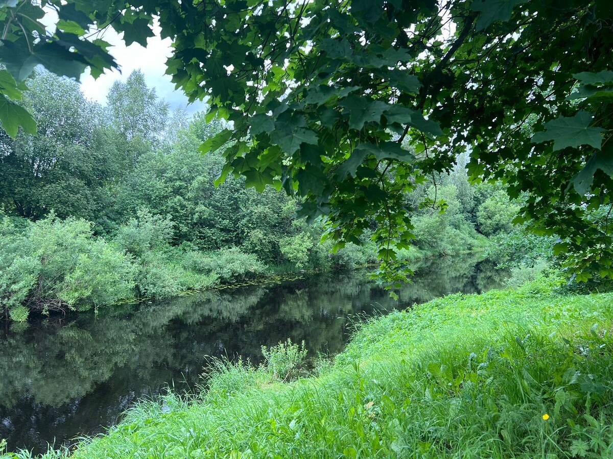 Фото из личного архива автора