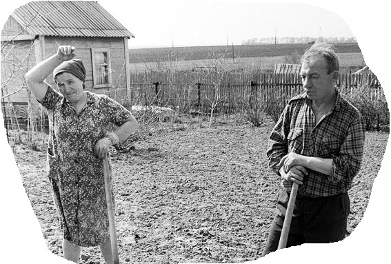 фото из открытых источников