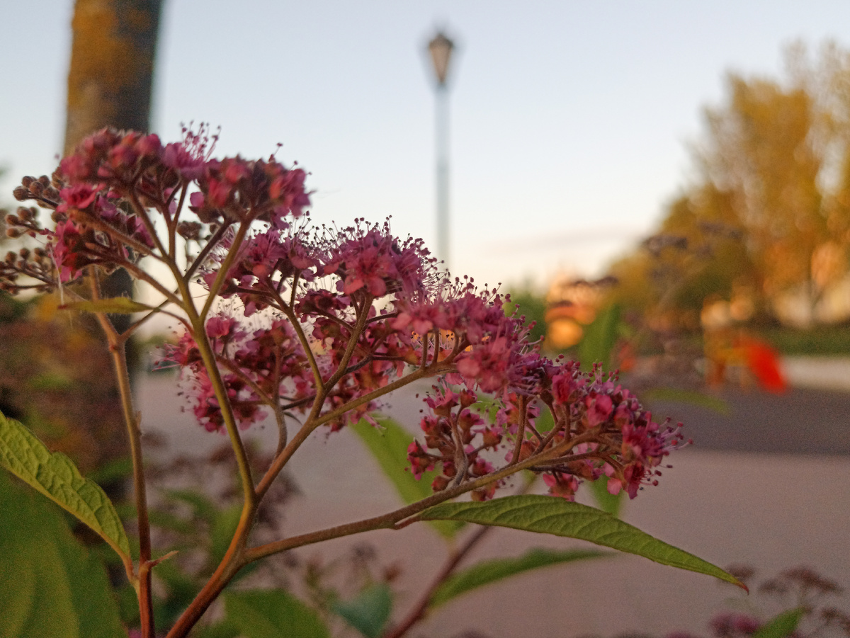 Закат в городе. Листайте галерею