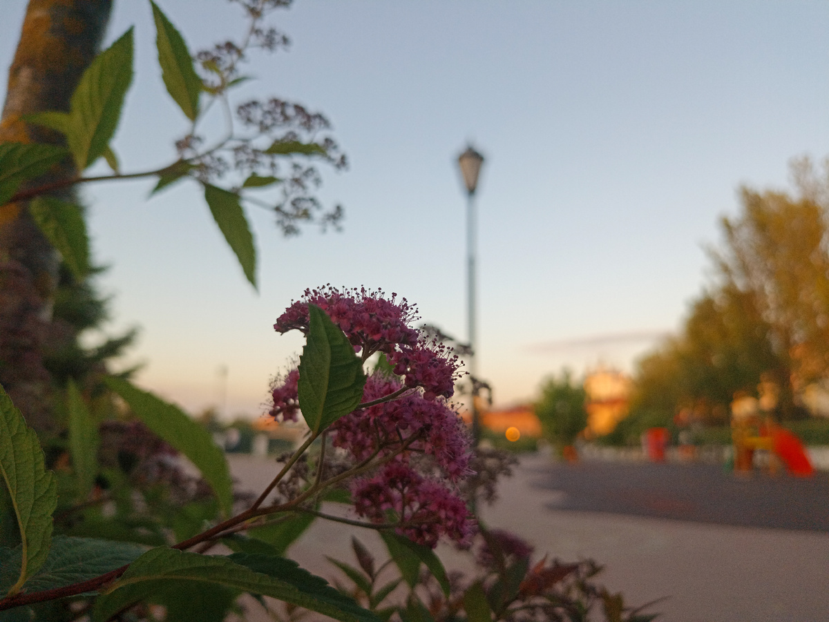 Закат в городе