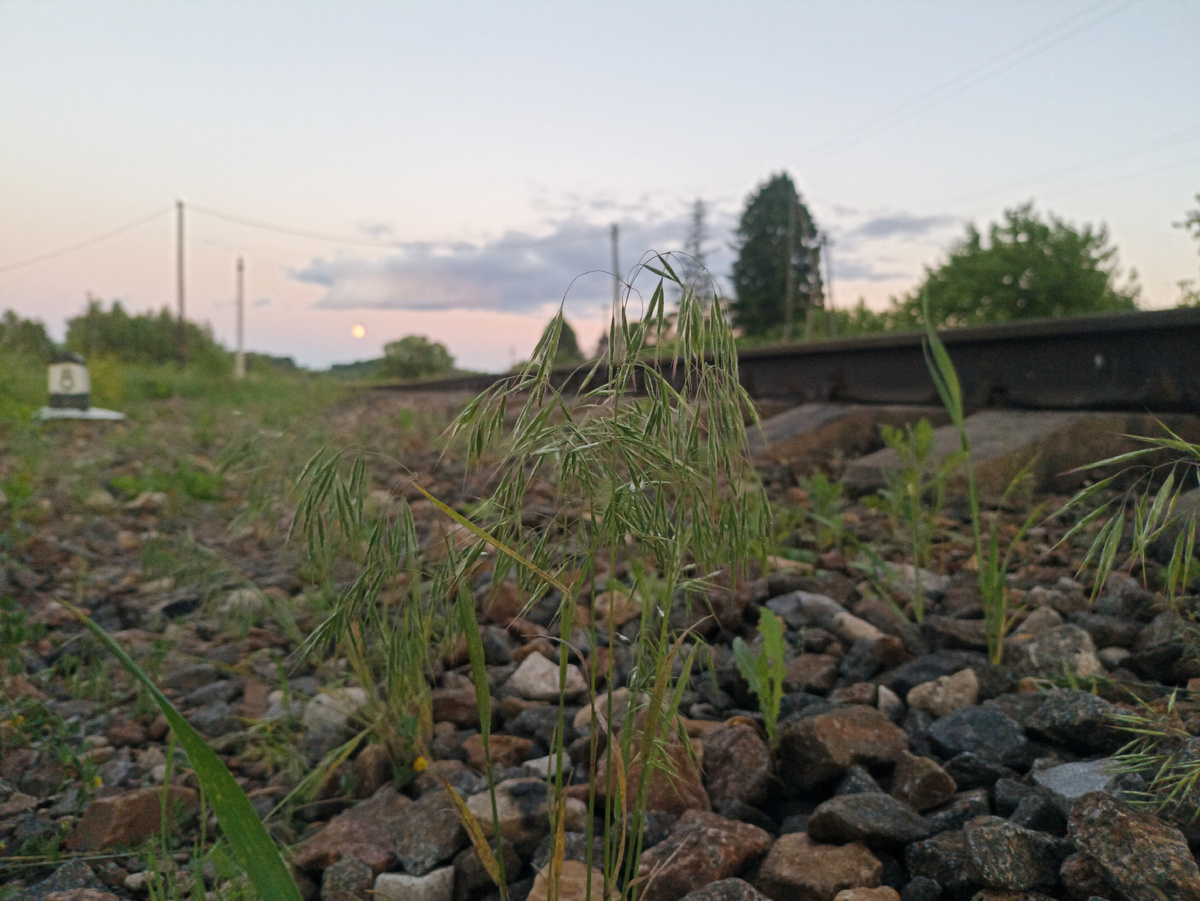 А вдали горит луна