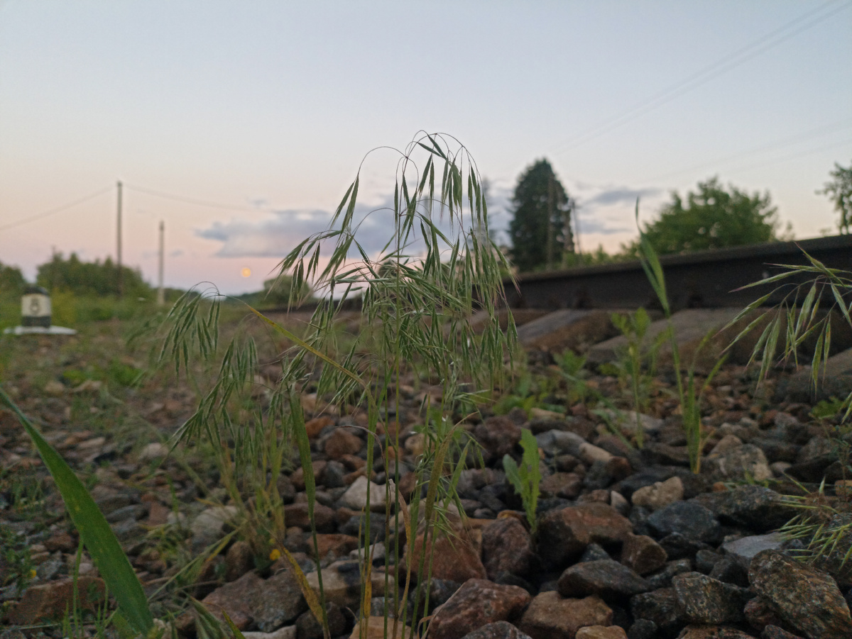 А вдали горит луна