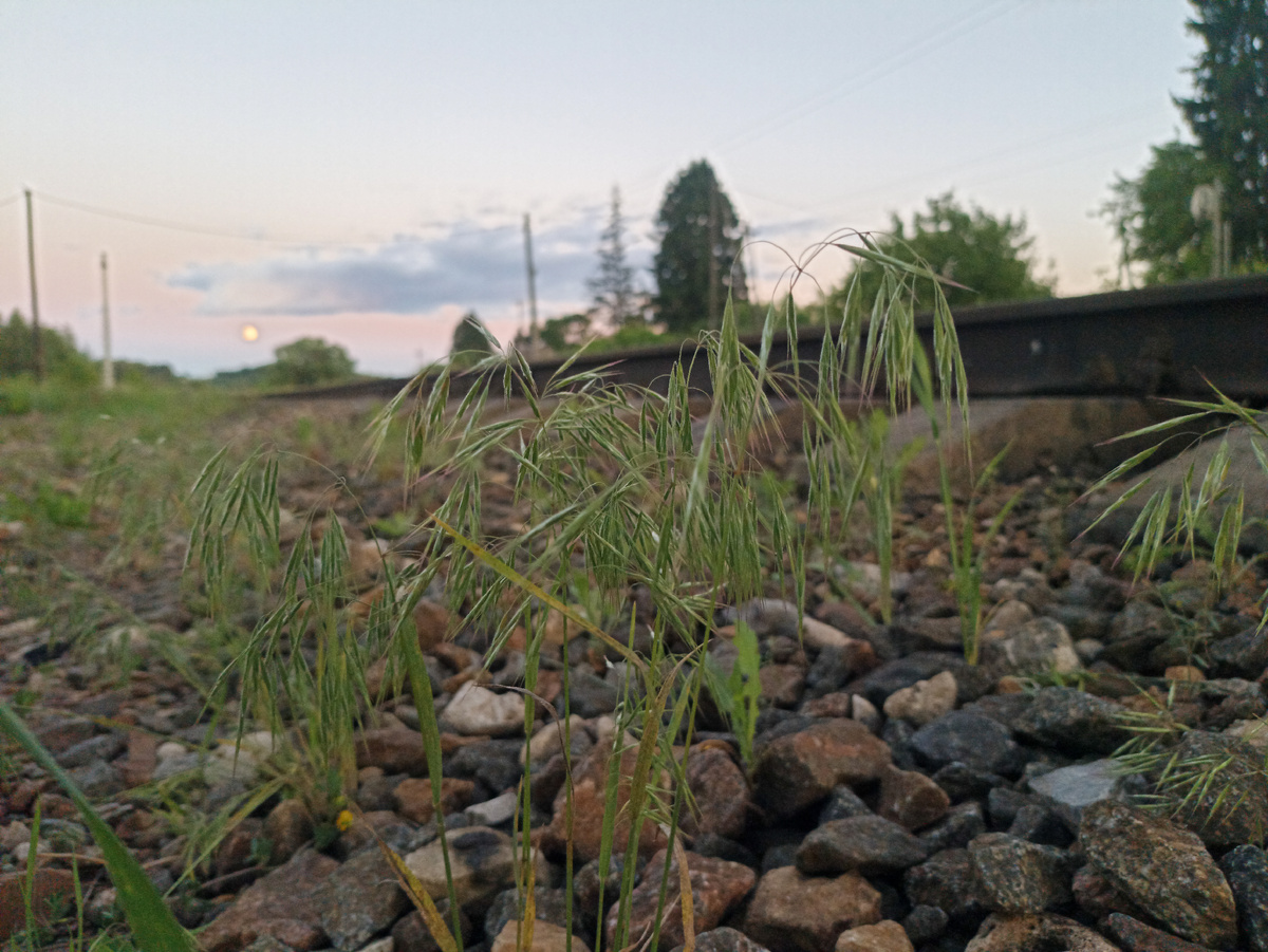А вдали горит луна. Листайте галерею