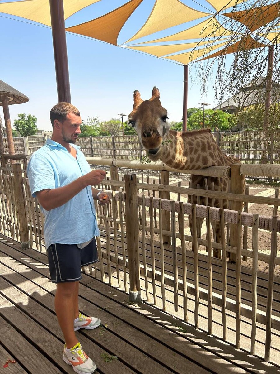В парке можно покормить жирафа!