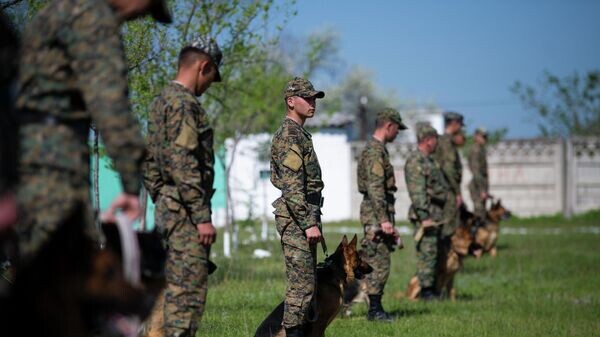    © Sputnik / Табылды Кадырбеков