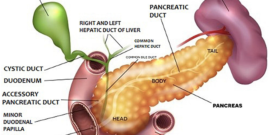 Хронический ПАНКРЕАТИТ: узнай всю правду о диагнозе