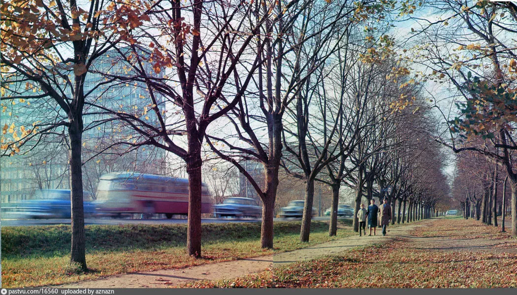 Ленинградский проспект, 1968 г. Автор: Н. Рахманов. Источник:"Московские мотивы", изд. "Московский рабочий", 1969 г.