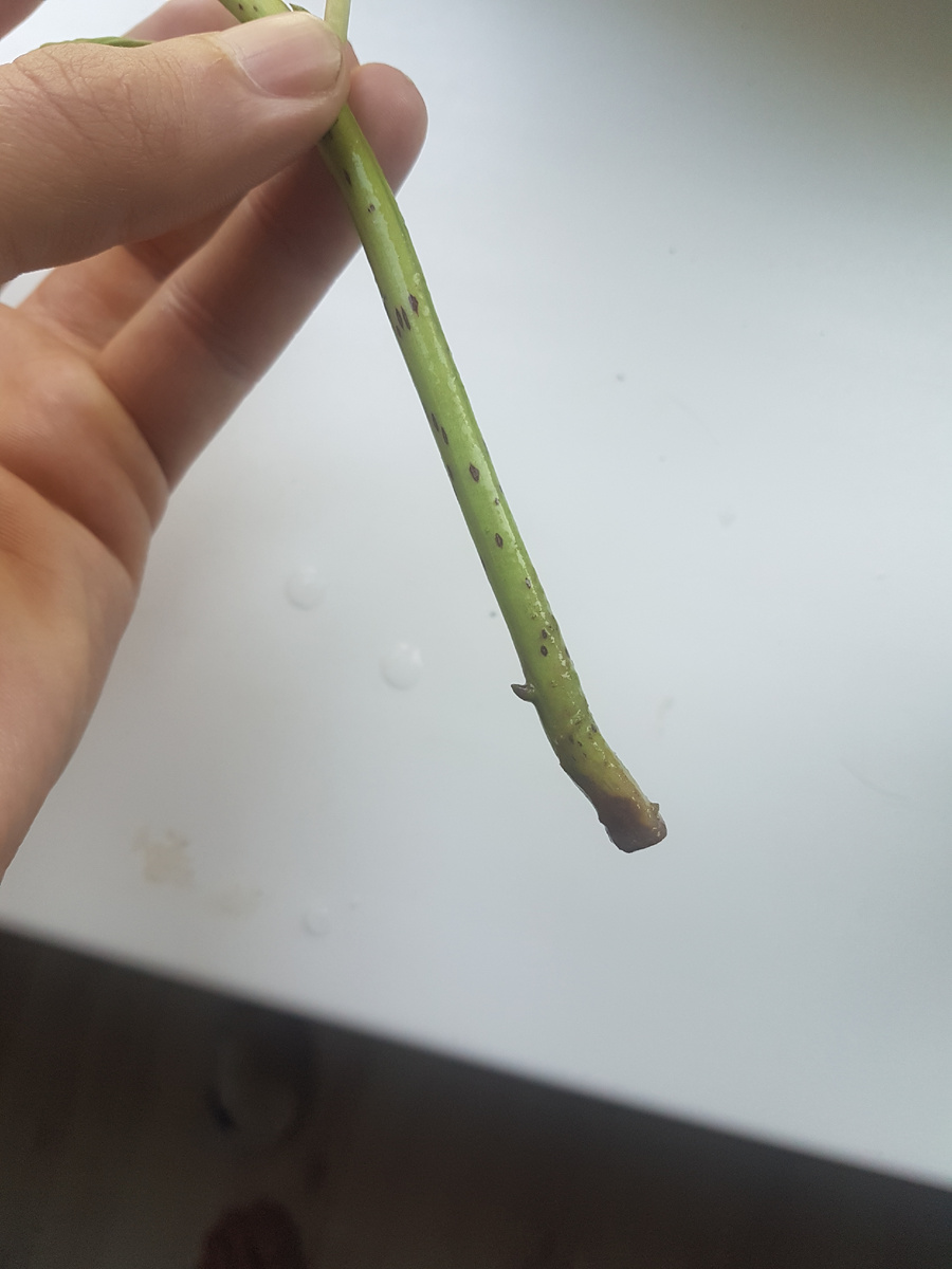 -2-3
