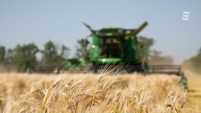      Фото: Валерия Алтухова / / ИА «Победа26»