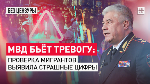 МВД бьёт тревогу: Проверка мигрантов выявила страшные цифры