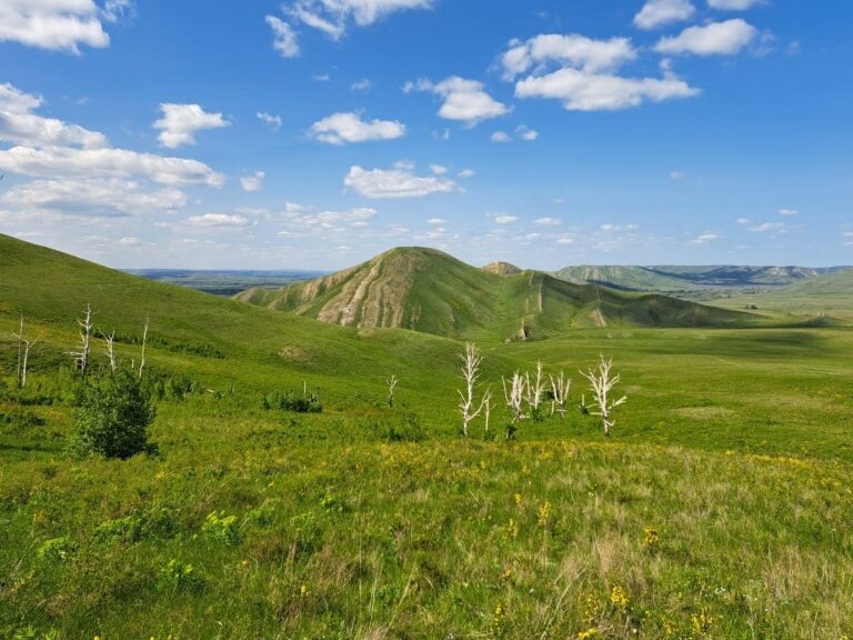    Оренбуржцам расскажут, куда можно поехать и что посмотреть в регионе Марина Шарт