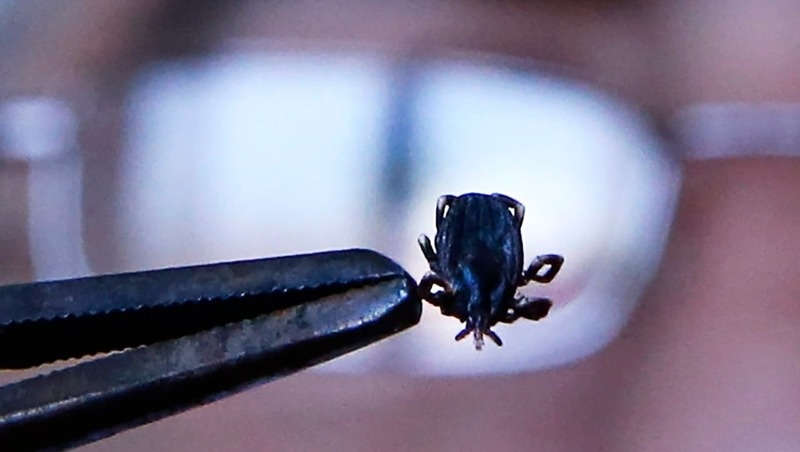      Фото: Валерий Матыцин/ТАСС / / ТАСС Фотобанк