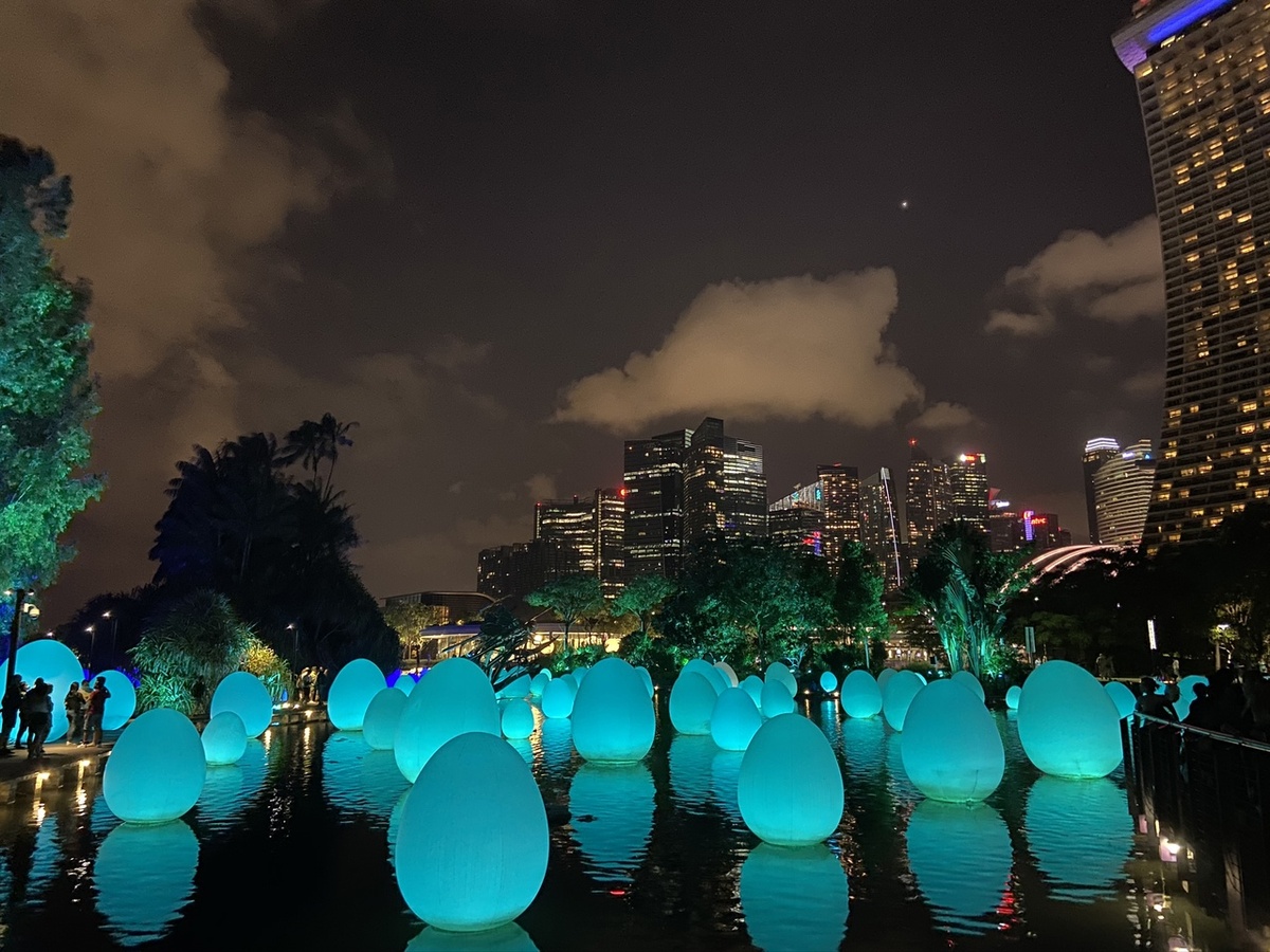 Стрекозье озеро ночью.