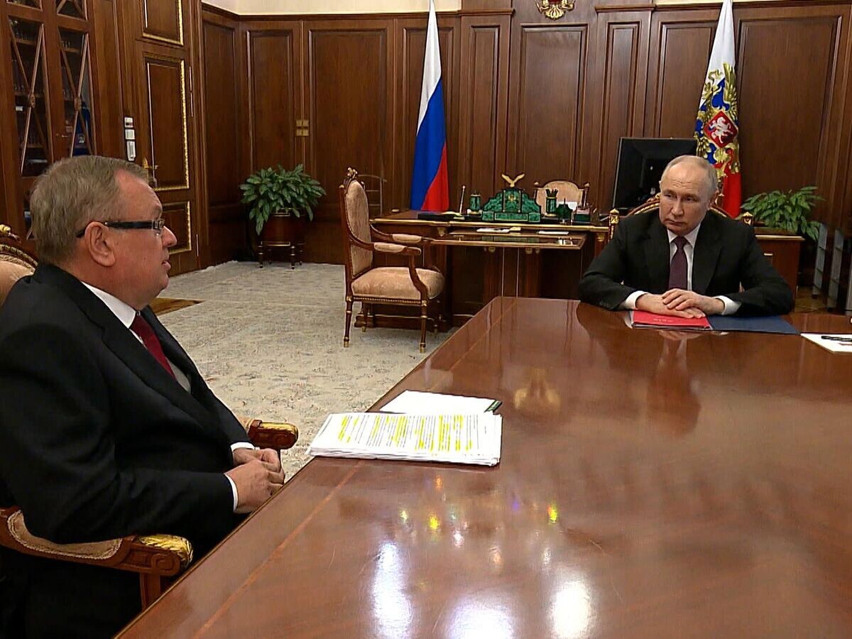    Рабочая встреча Владимира Путина с главой ВТБ© Пул