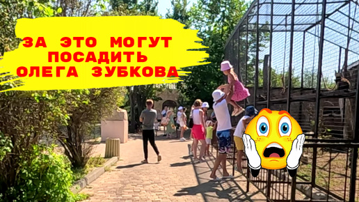 Посетили парк Тайган в Крыму. Обзор парка цены и много животных. Крым 2024.