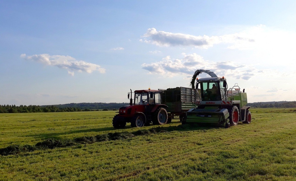На одну корову в Тверской области планируют заготовить не менее 21 центнера кормов.jpg