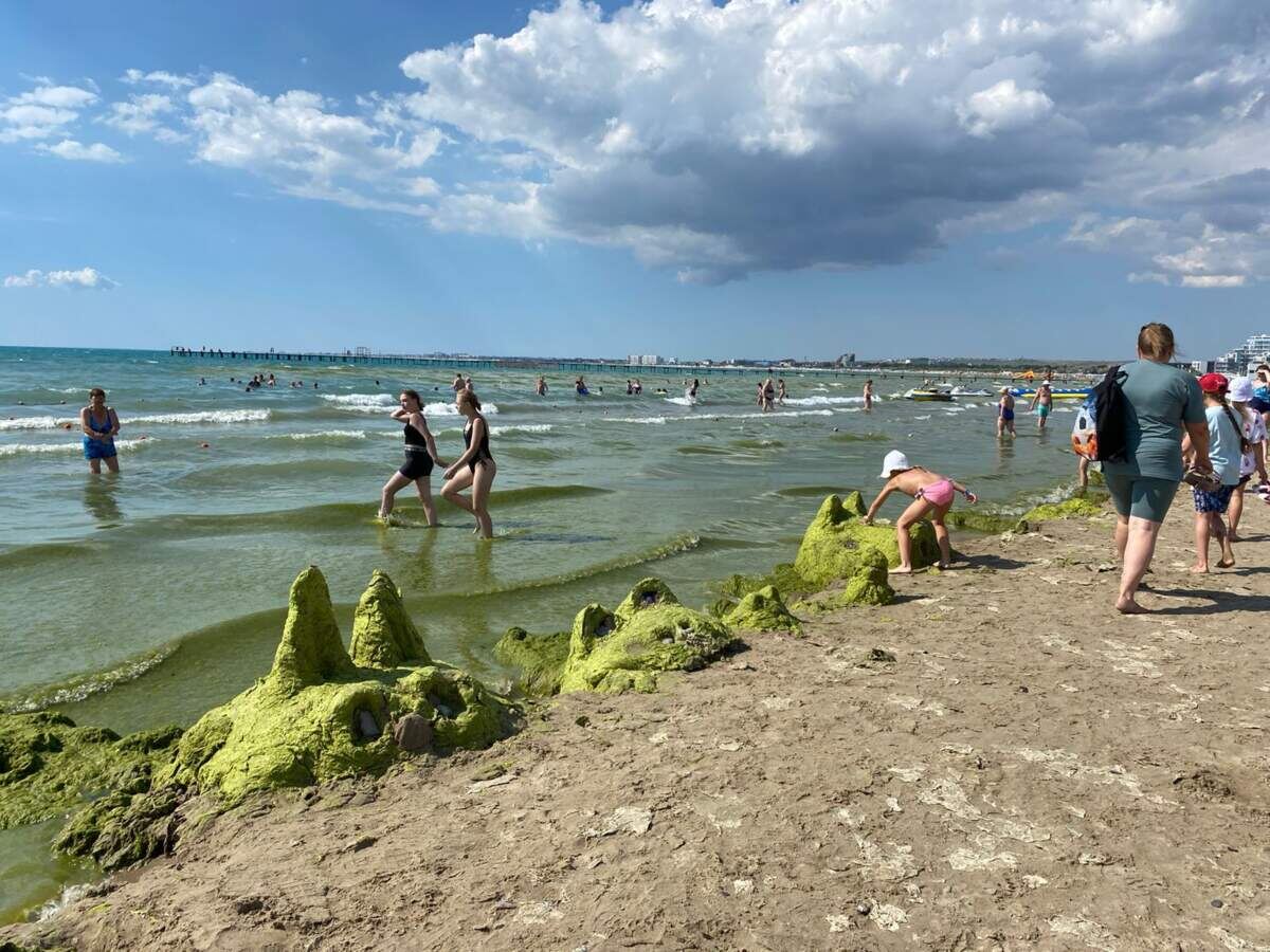 Какое море сейчас в анапе по чистоте. Цветение моря Витязево Анапа. Камка в Анапе. Джемете море цветет. Камка водоросли в Анапе.