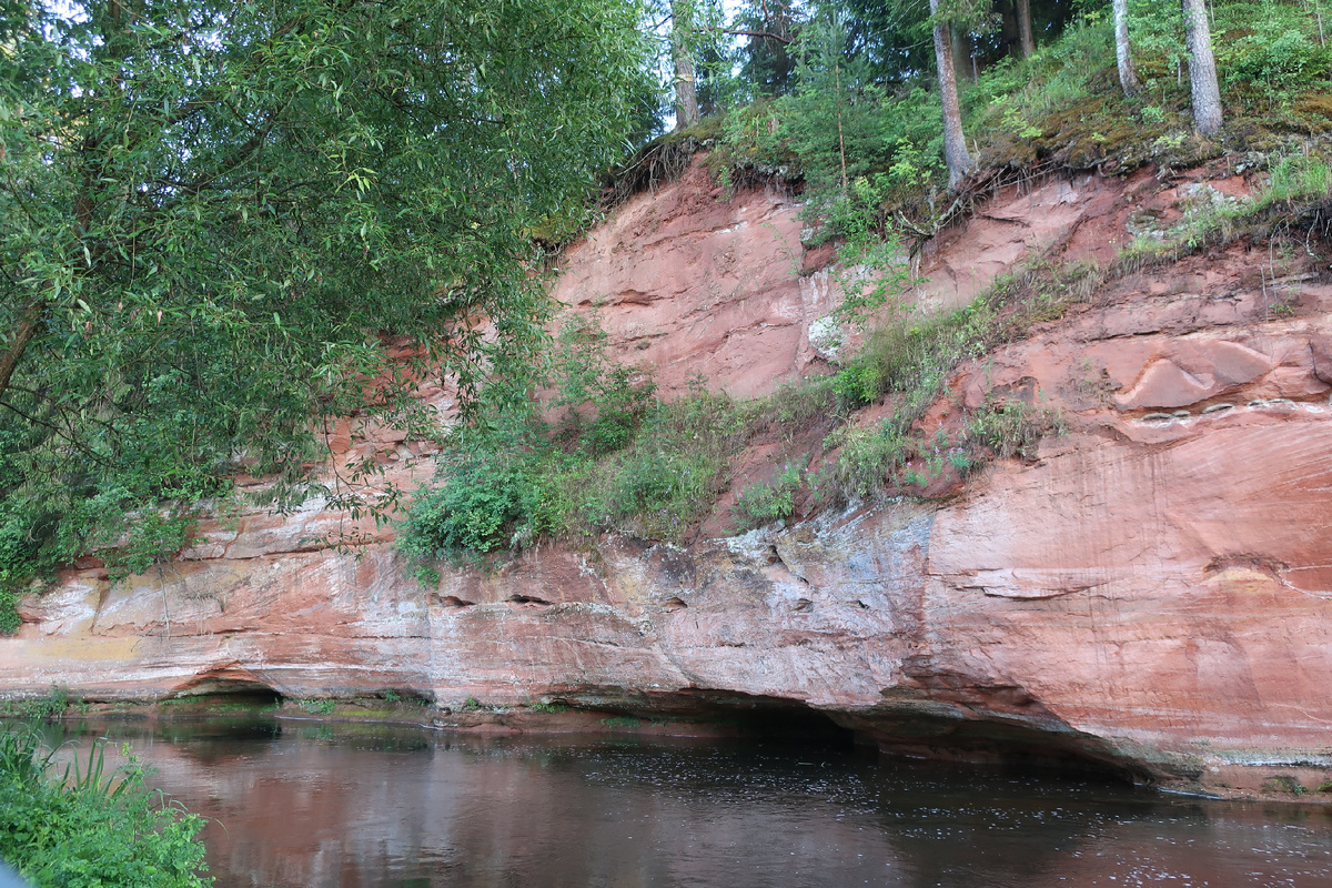 берег реки Оредеж у деревни Новосиверская...