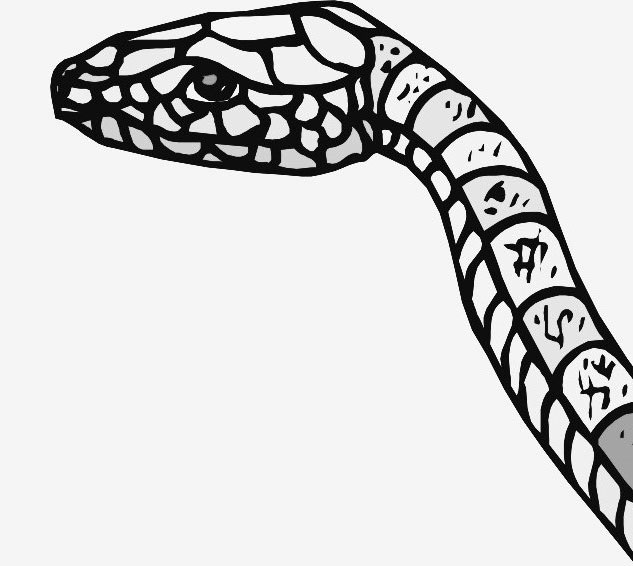 
   
Ядовитые змеи (гадюки обыкновенные, гремучие змеи, водяные щитомордники) кусают собак гораздо чаще, чем людей. Укусы ядовитых змей очень опасны для жизни собак.