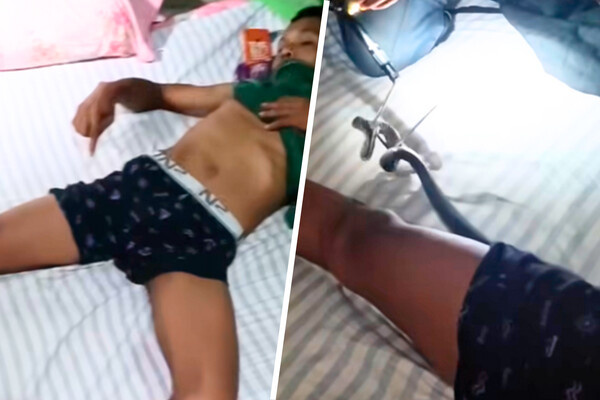 Ner KhwaiTai's/Facebook  