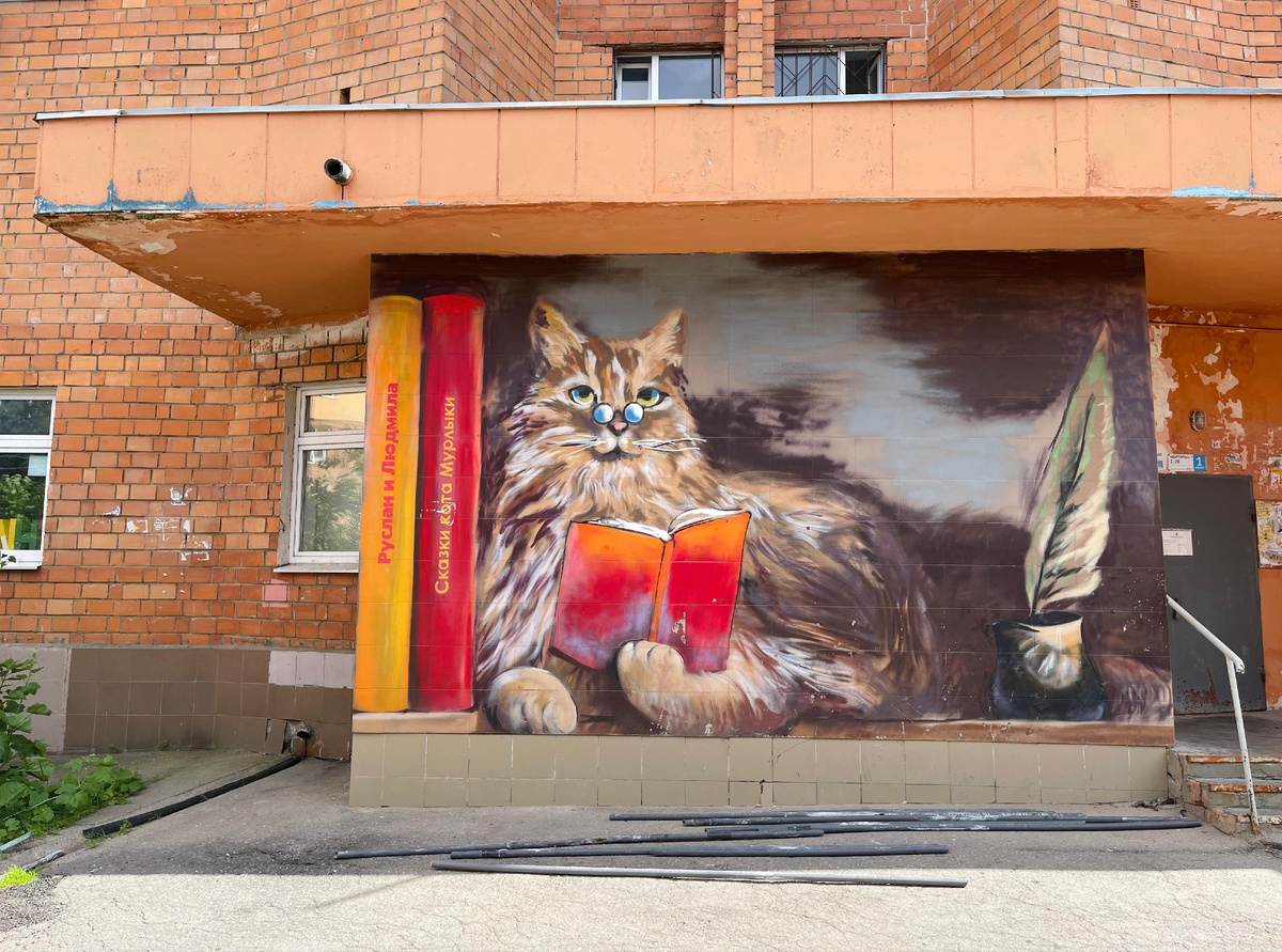 Читающий кот, что может быть лучше?