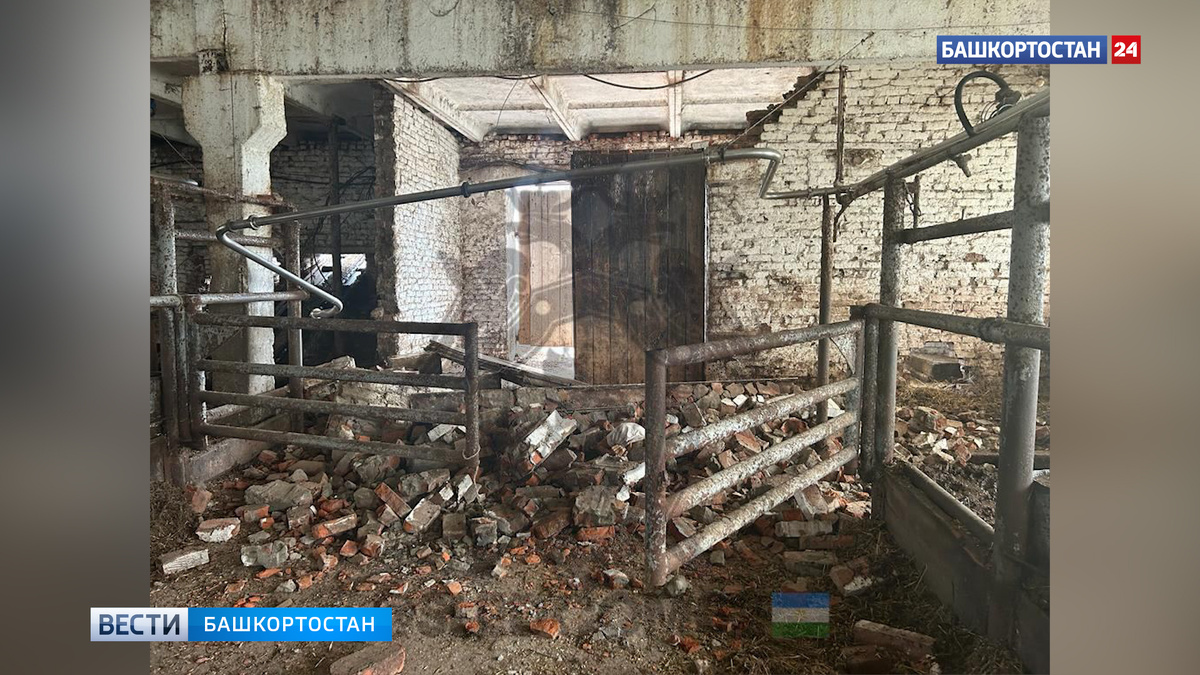    В Башкирии осудят председателя сельхозкооператива за смерть рабочего на производстве