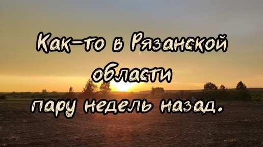 Как то в Рязанской области пару недель назад.