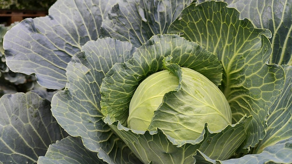 Здесь и далее фото Unsplash