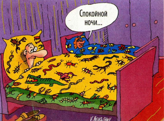 Спокойной ночи картинки красивые - скачать бесплатно, сборка