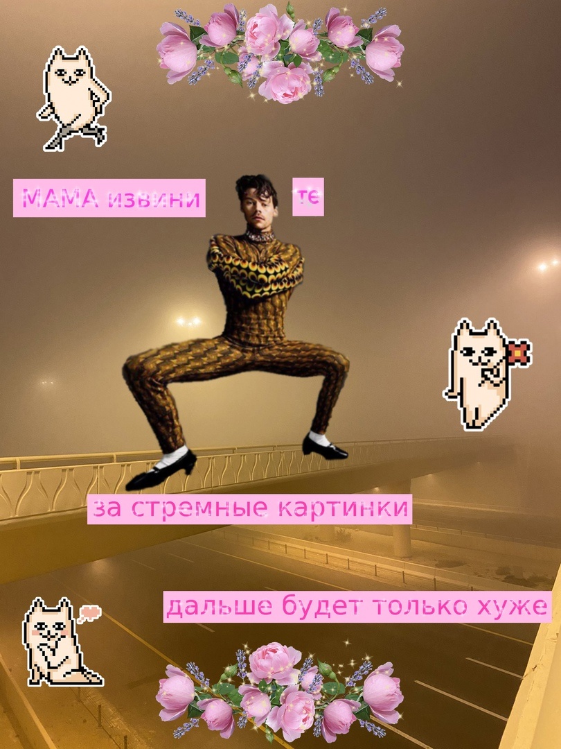 Мем Маринетт Мортем с котиками и Гарри Стайлсом