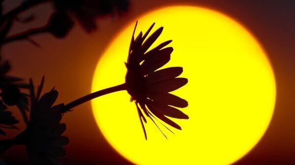    © РИА Новости . Сергей Мальгавко