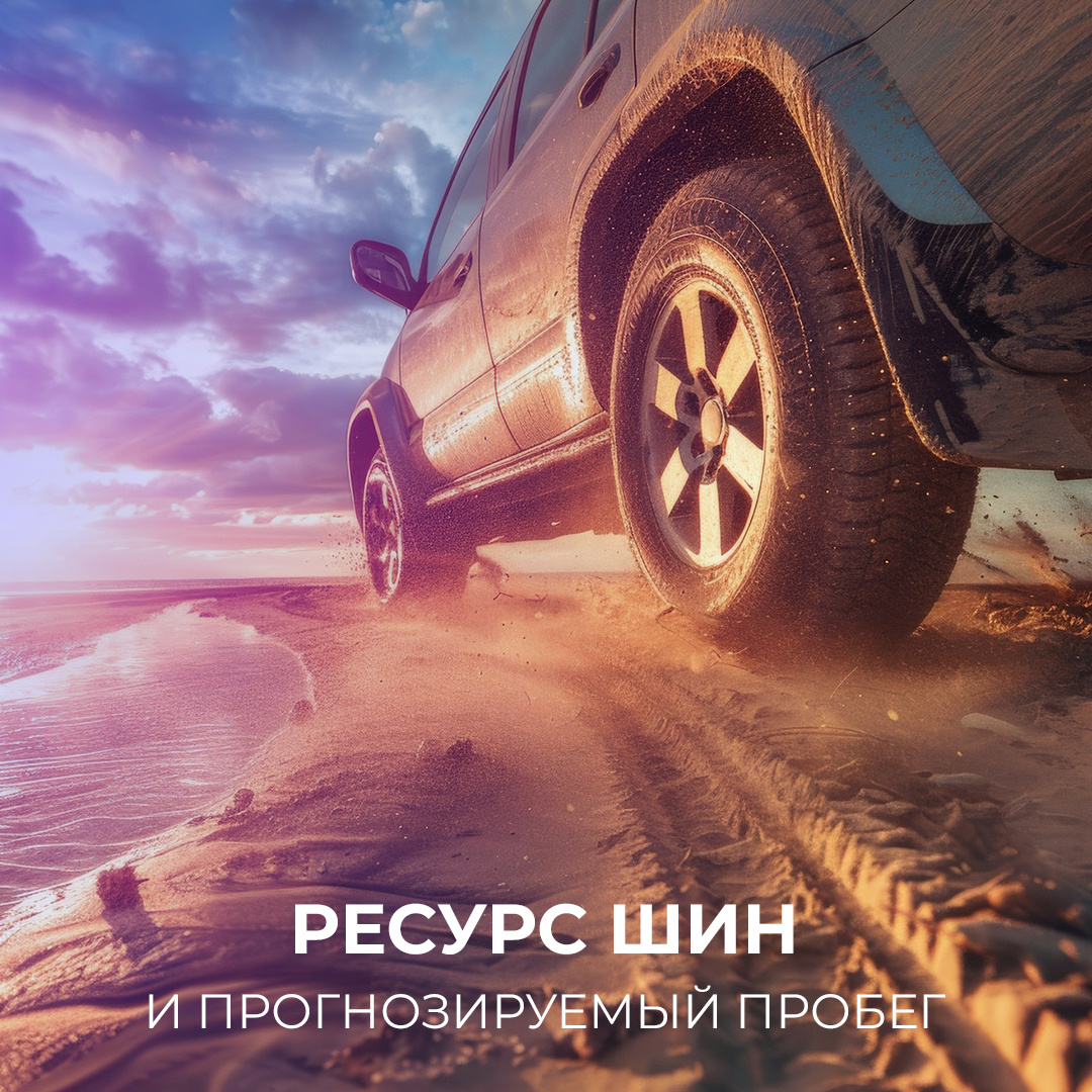 Рейтинг шин по ресурсу по версии ADAC | ТиШИНА Колесопитер | Дзен