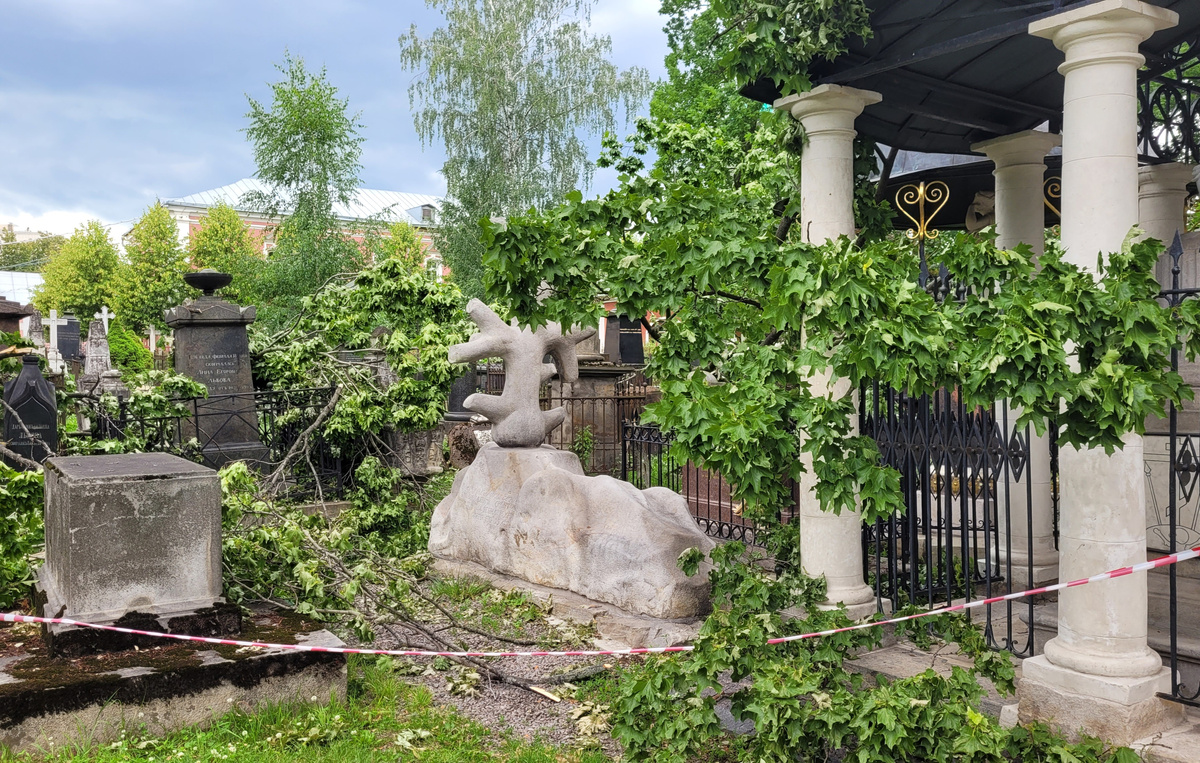 Захоронения Глебовых-Стрешневых и братьев Баскаковых
