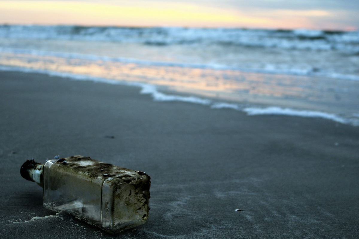 Фото: Scott Van Hoy / Unsplash 