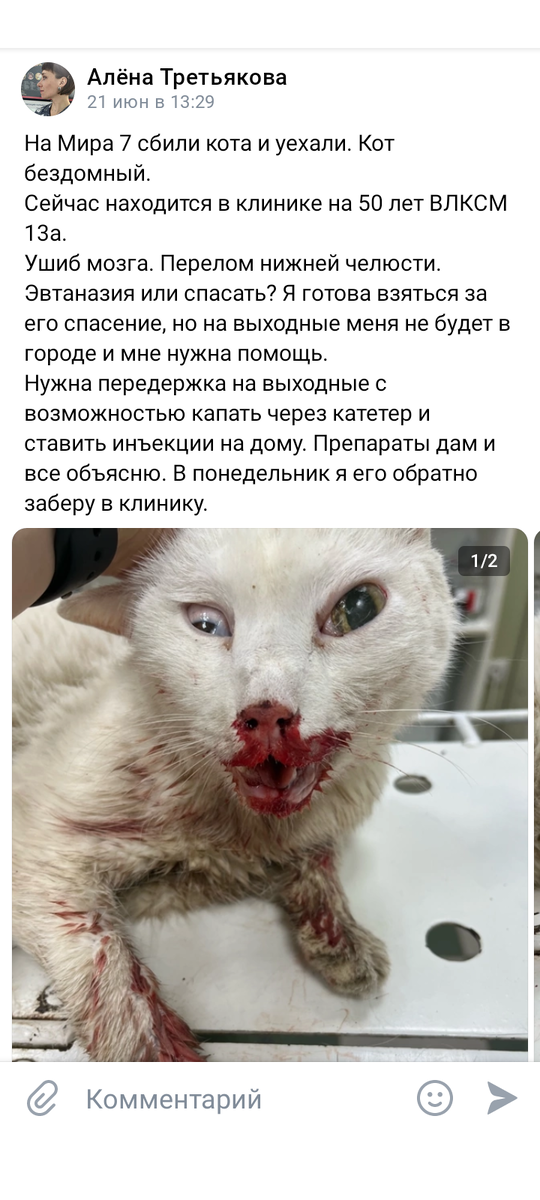 Вот такой пост в вк я увидела. 