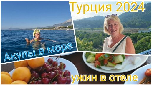 Download Video: АКУЛЫ В МОРЕ ТУРЦИИ.Страшно заплывать далеко? КЕМЕР или МАРМАРИС?УЖИН