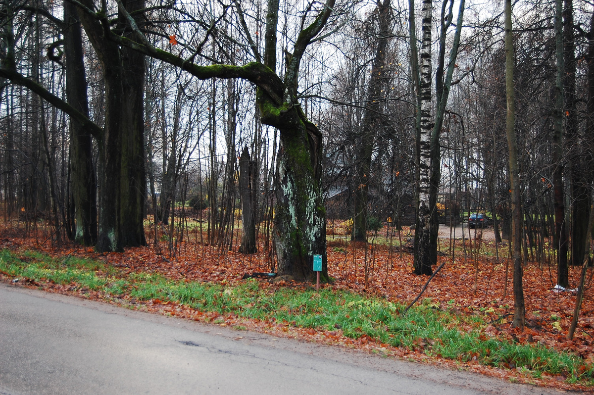 Это еще поселок