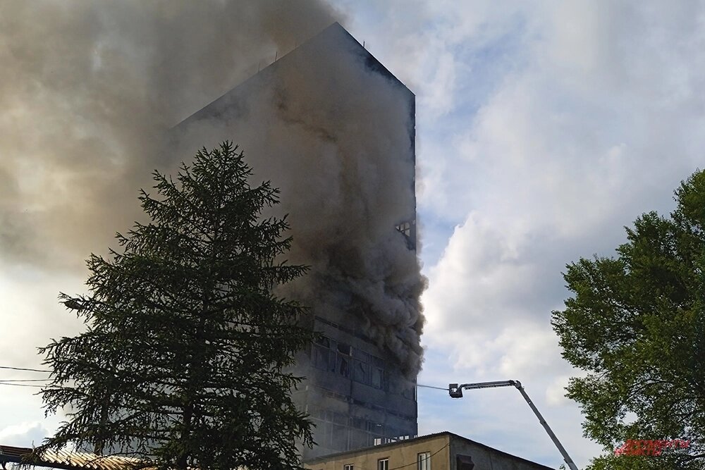    Фото:  АиФ/ Сергей Дружинин