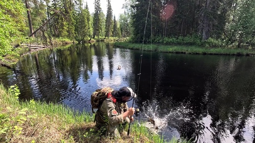 СУПЕР РЫБАЛКА НА ЛЕСНОЙ РЕКЕ. МНОГО РЫБЫ В РЕКЕ. ВОТ ЭТО ПОКЛЁВКА. ПРОБРАЛСЯ НА ГЛУХУЮ РЕКУ И НЕ ПОЖАЛЕЛ.