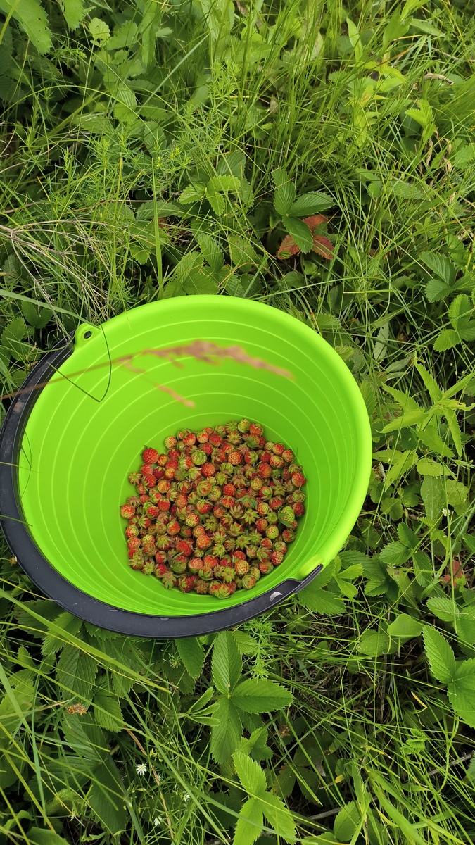 Начало положено
