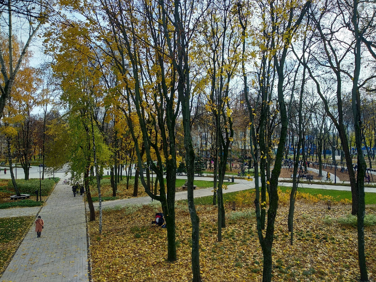 Парк «Орлёнок». 29.10.2022. © Фотограф Семененко А. А. Ссылка обязательна.