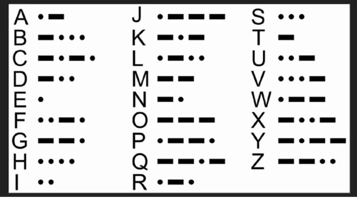 Морзе хомяк 29