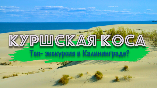 ТОП-локация или пустая трата времени? Приехали на Куршскую косу! Смотри, что увидели!