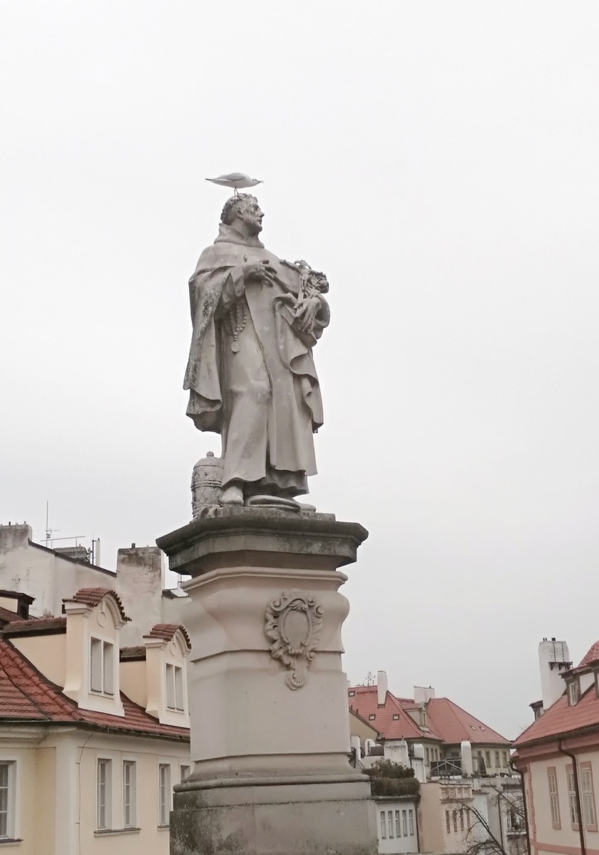 Страдает даже чайка