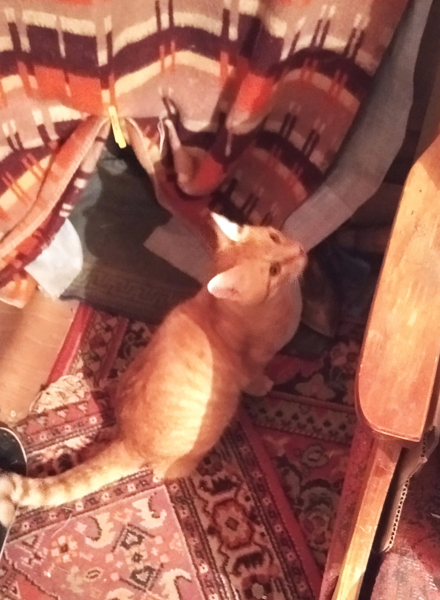 Личное  фото