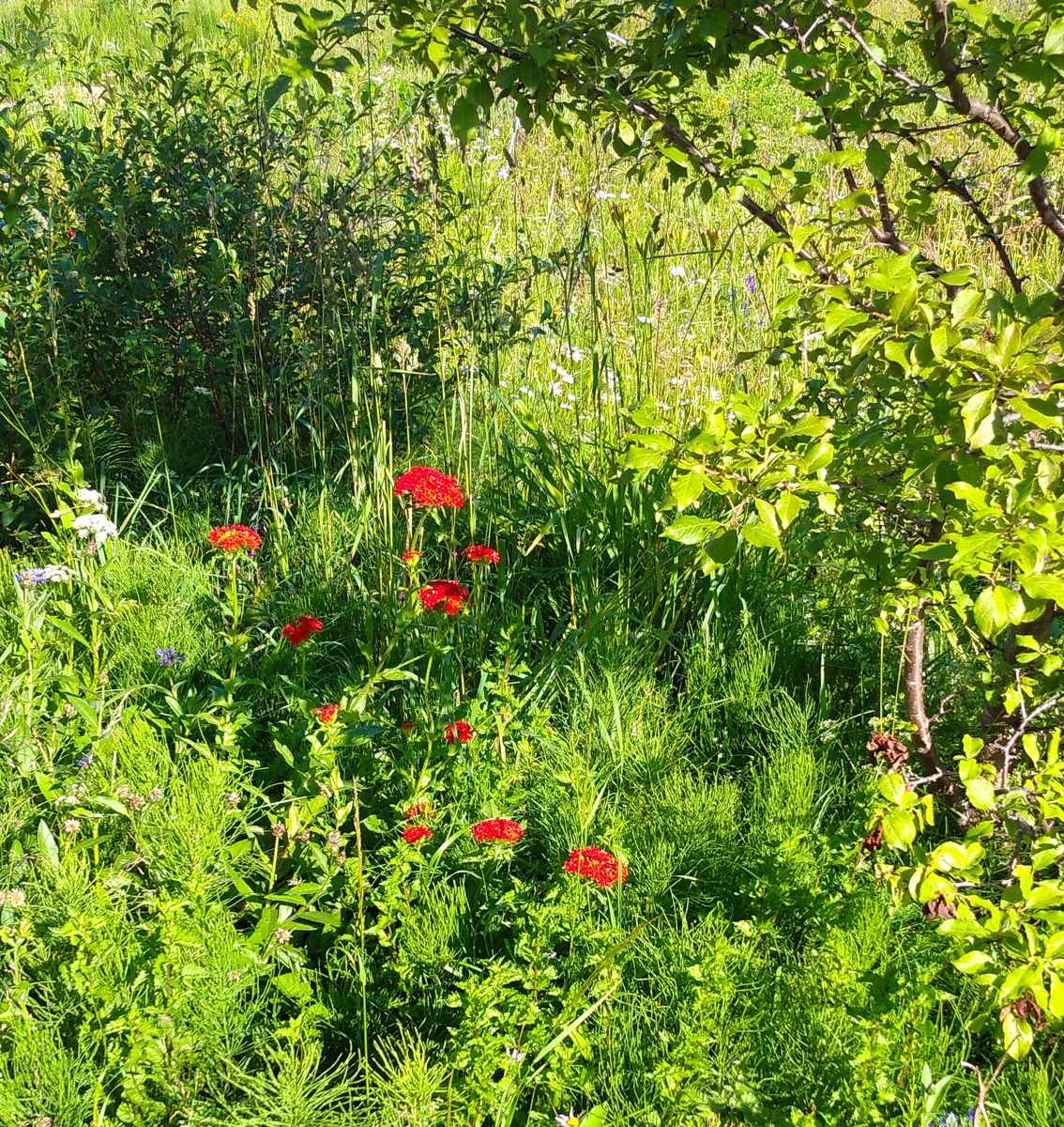 Личное  фото
