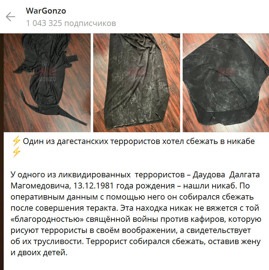    Скриншот: Wargonzo/Telegram